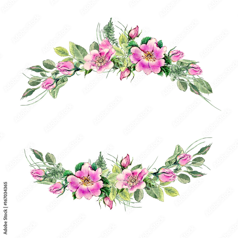 Banner with flowering pink roses names: dog rose, rosa canina, Japanese rose, Rosa rugosa, sweet briar, eglantine , isolated on yellow background.