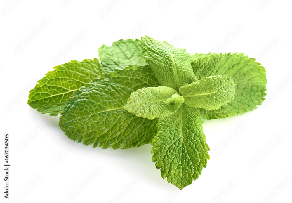 Fresh mint isolated on white Fresh mint isolated on white