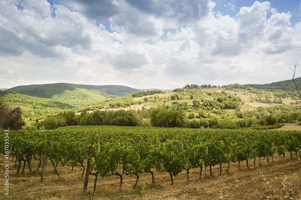 Tuscany landscapes