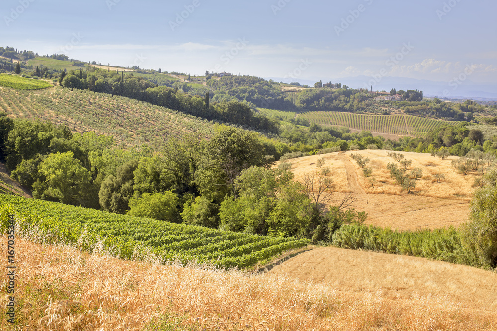 Naklejka premium Tuscany landscapes
