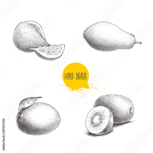 Hand drawn exotic fruits set. Fig fruit, papaya, mango and kiwi fruits. Eco food sketch vector illustration isolated on white background.