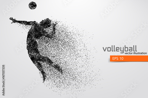 Silhouette of volleyball player.