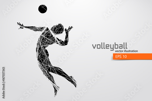 Silhouette of volleyball player.