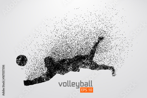 Silhouette of volleyball player.