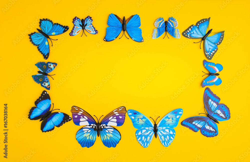 Obraz premium Blue butterfly on orange background