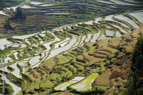 Rice terraces Yuanyang China South Asia