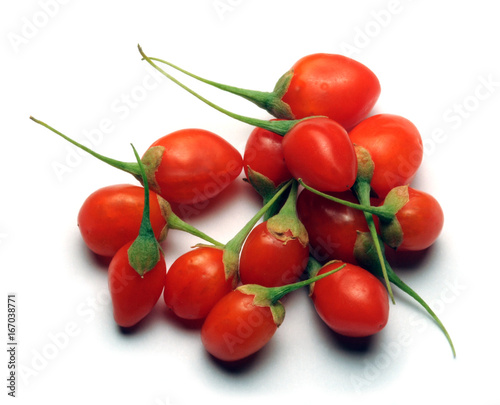 Lycium barbarum Chinese 宁夏枸杞 wolfberry boxthorn Pukinpensas Himalayan pospolity Bocktörne goji barbary Дереза vine Kolcowój Duke of Argyll's frutta Fruit Gemeiner Bacche Bocksdorn обыкновенная 