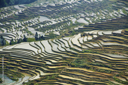 Rice terraces Yuanyang China South Asia