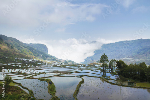 Rice terraces Yuanyang China South Asia