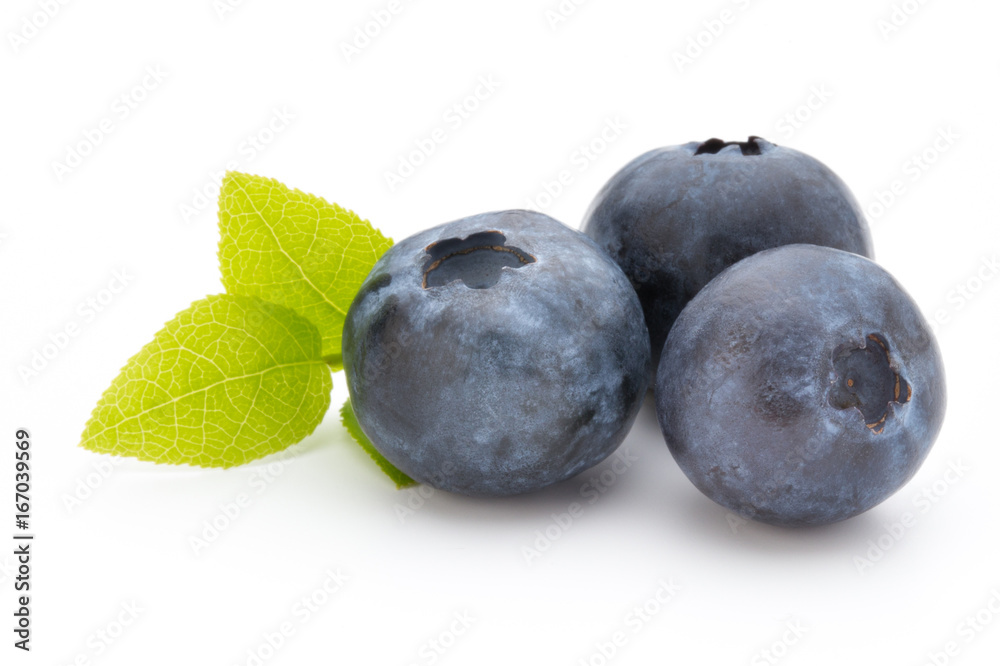 Obraz premium Fresh blueberries on a white background.
