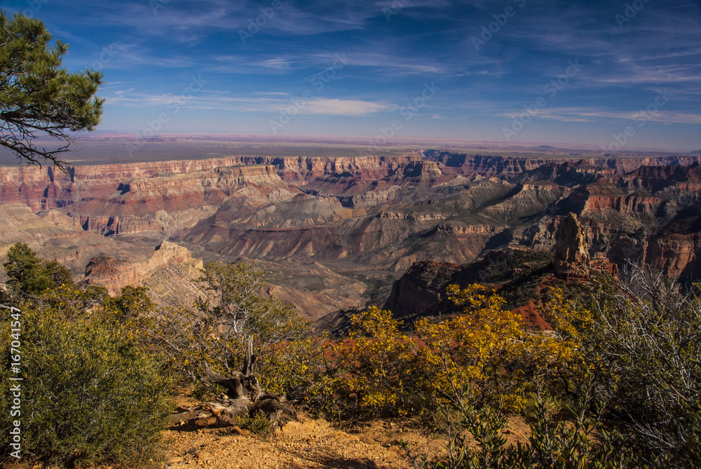 Grand Canyon from Cape Royal in the Fall Grand Canyon from Cape Royal in the Fall