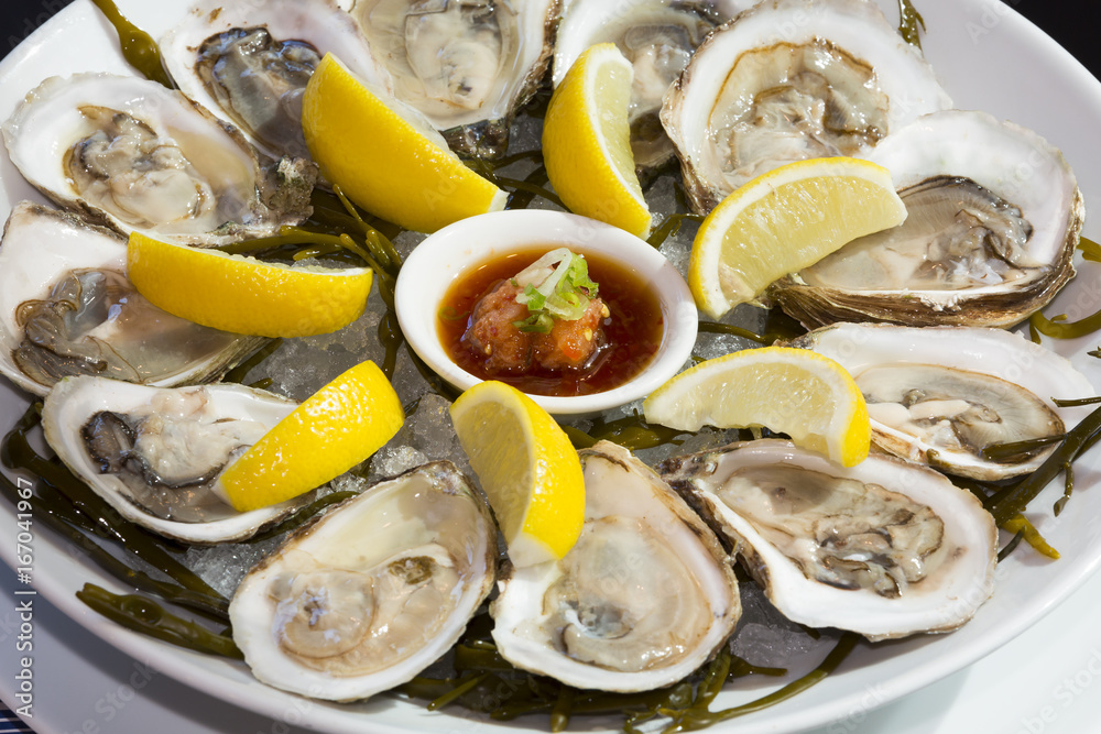 Oyster on ice Oyster on ice