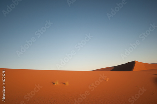 View on dunes in the Sahara desert of Morocco