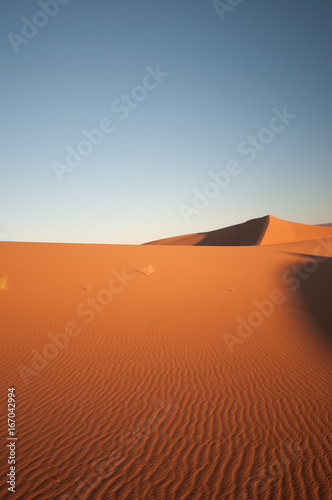 View on dunes in the Sahara desert of Morocco