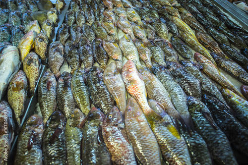 poissons dans un marché en polynésie, tahiti