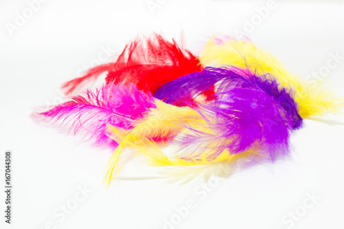 Colorful feathers lying on white table