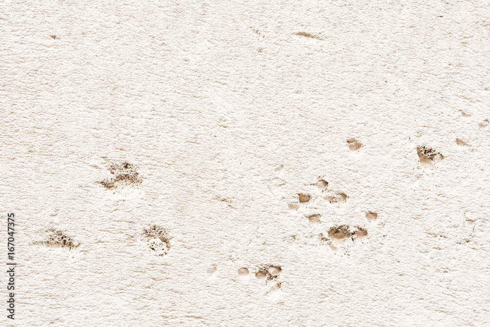 Texture of autoclaved aerated concrete block. Texture of autoclaved aerated concrete block.