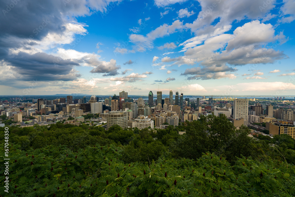 Montreal from Mont Royal