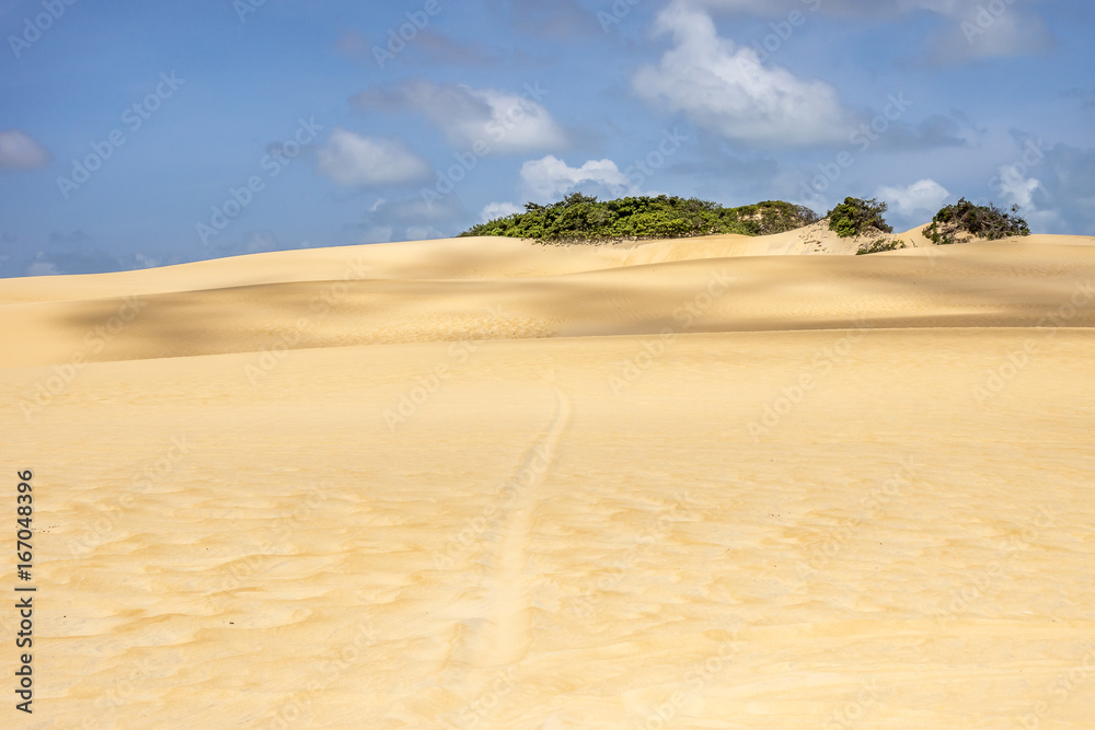Fototapeta premium Sand, sand and more sand, dunes Natal Brazil