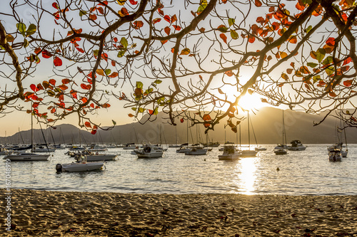 Sail boats standing on ilhabela beach at sunset Brazil photo