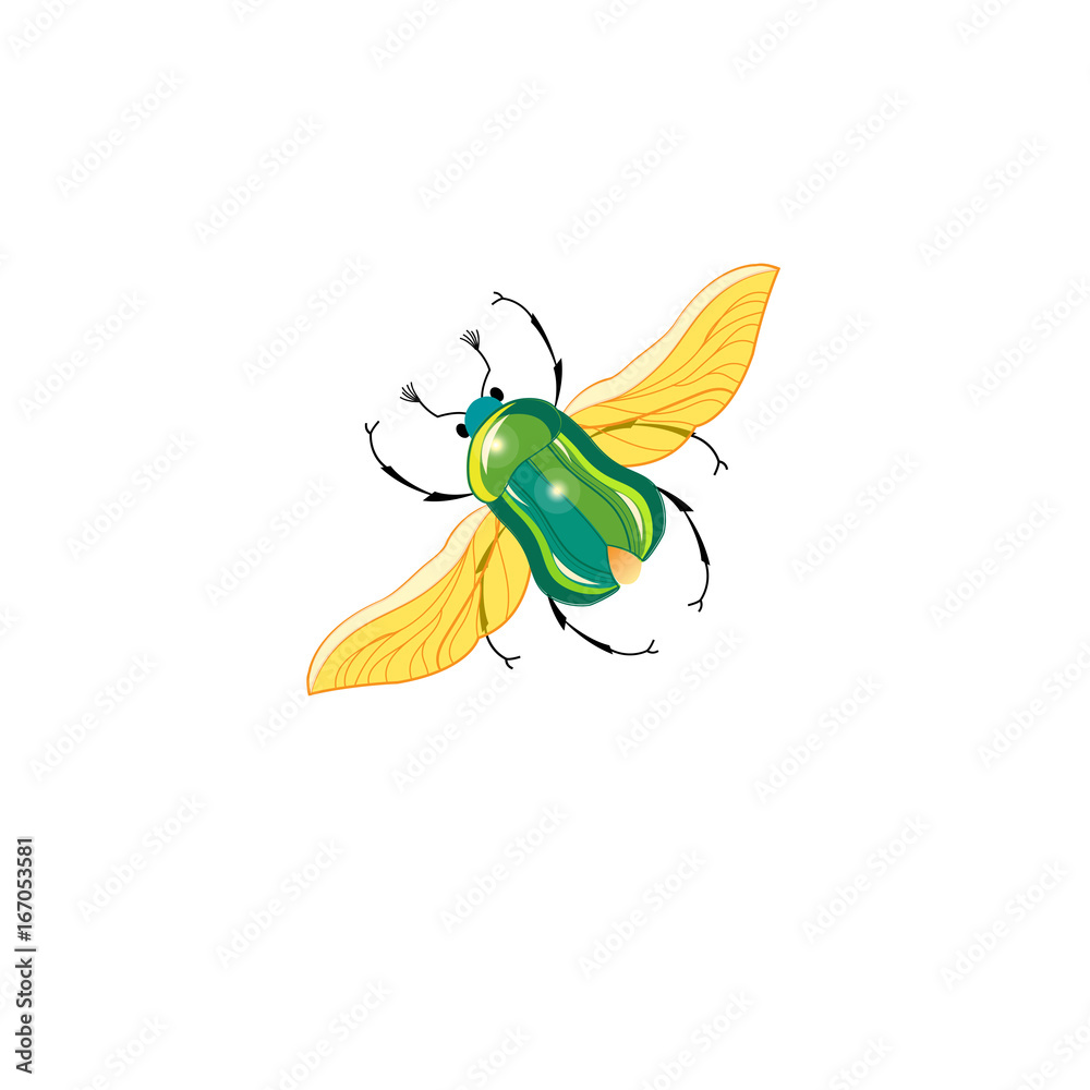 Obraz premium Sign vector green beetle in flight