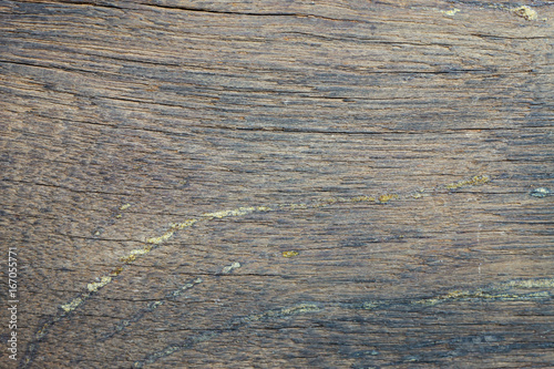 Wood decay, Old wooden pattern