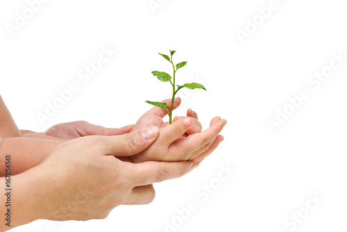 Mother and baby holding a young green plant together / Love and protect nature concept