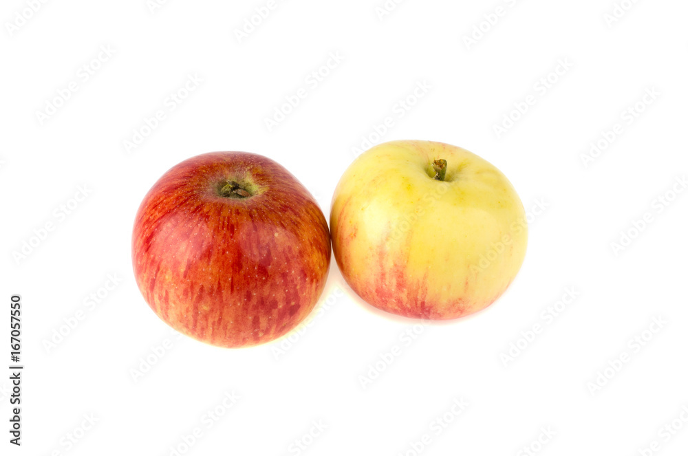 Apple on white background Apple on white background