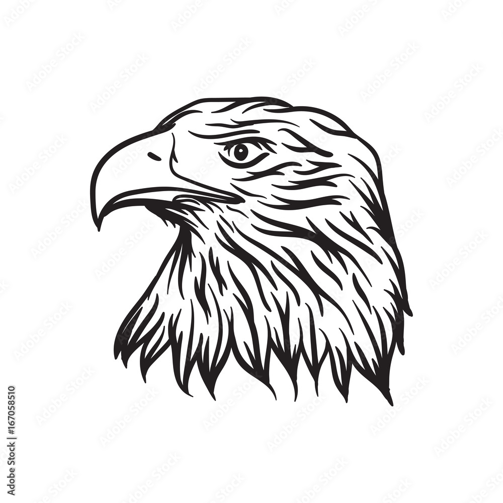 eagle head vector illustration