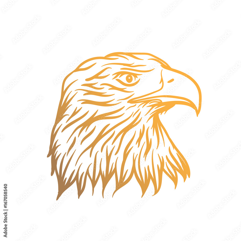 Obraz premium eagle head vector illustration
