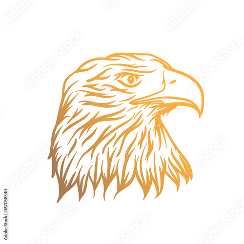 eagle head vector illustration