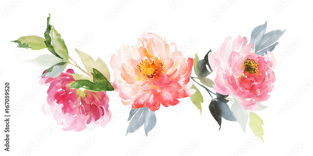 Flowers watercolor illustration