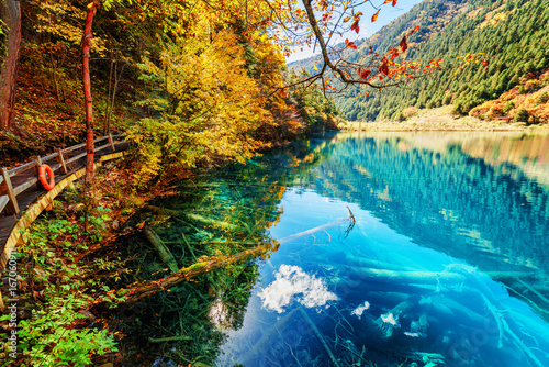 Fototapeta Fantastyczny widok na jezioro z lazurową wodą wśród lasów jesienią
