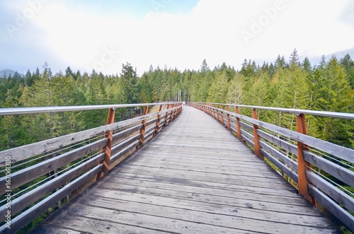 Path Through the Kinsol Trestle or Koksilah River Trestle in the Cowichan Valley  © panithi33