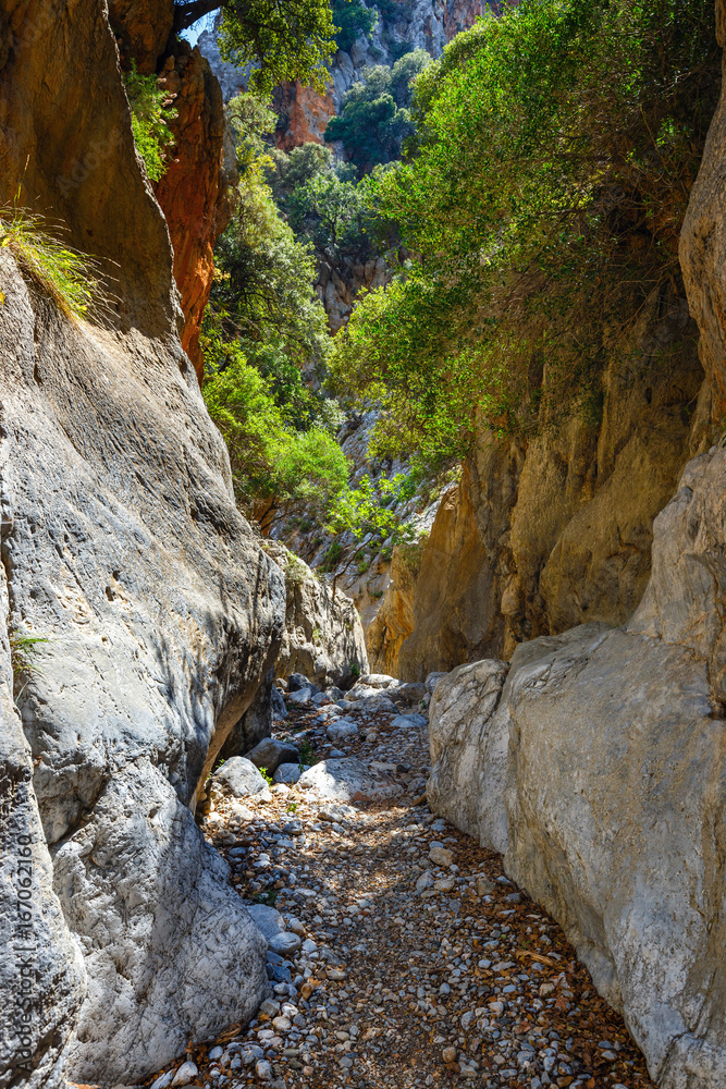 Kritsa Gorge near Agios Nikolaos on Crete, Greece