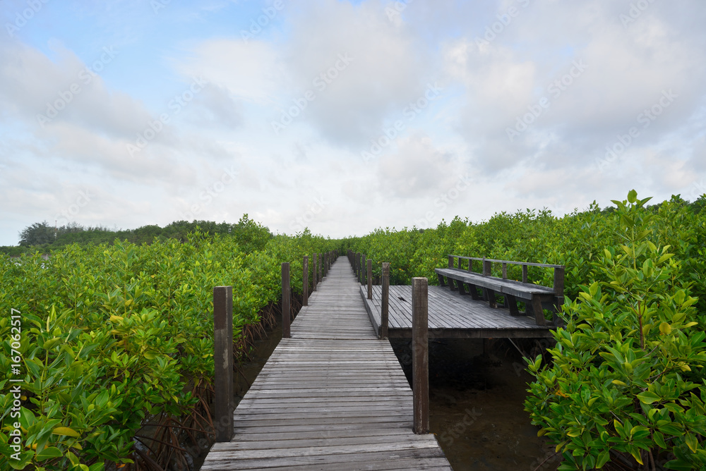 Scenic point and wooden bridge to sightseeing mangrove forest nature at Rayong,Thailand
