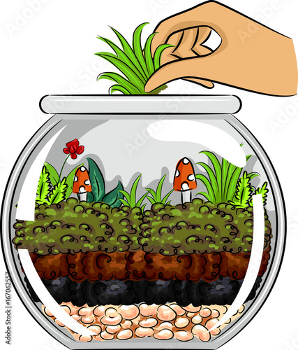 Hand Bowl Terrarium Grass