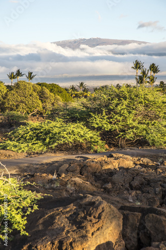 Mauna Kea seen from Mauna Lani,Hawaii Island photo