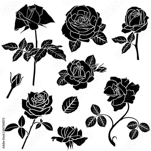 Decorative rose flower set