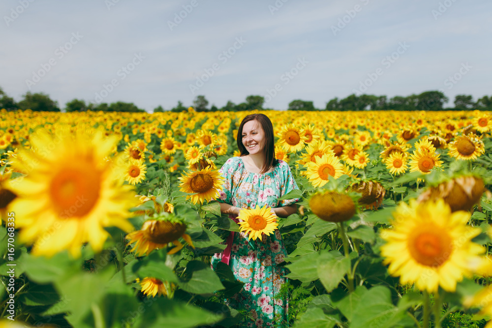 Brunette girl in a field of sunflowers