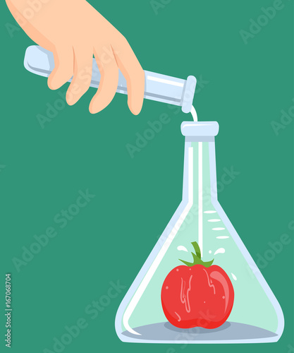 Conceptual Hand GMO Tomato