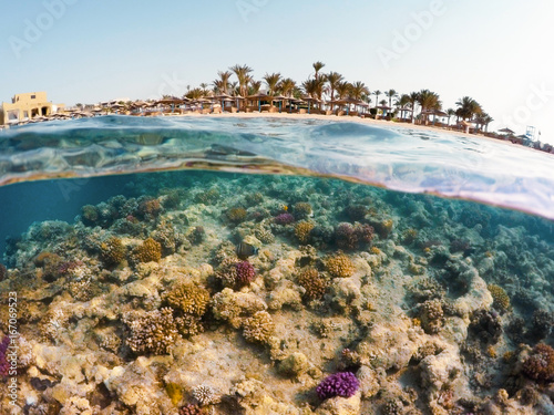 Underwater surface split view of coral fish and resort beach with parasol