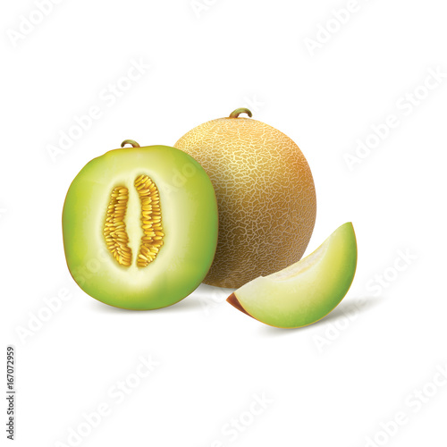 A set of whole melon and pieces in realistic a depiction