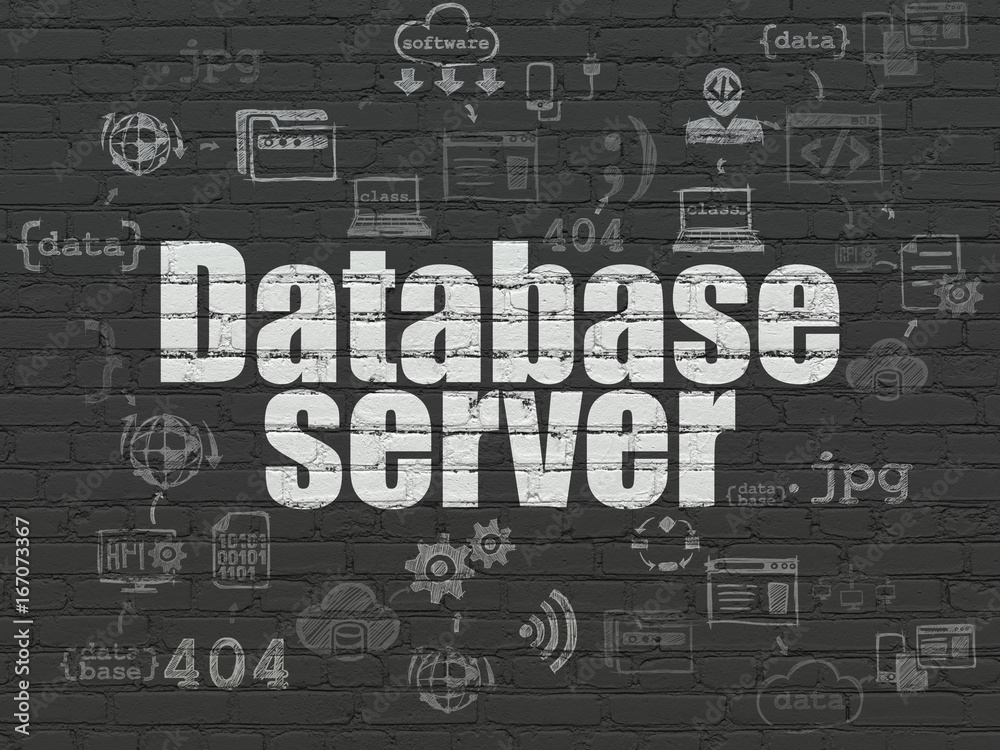 Software concept: Database Server on wall background Software concept: Database Server on wall background