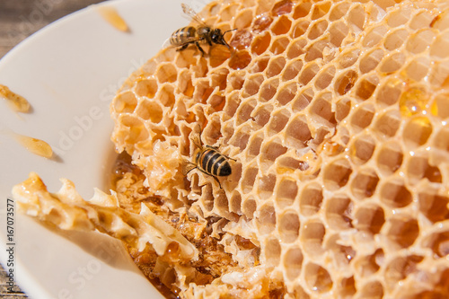 Close up view of the working bee on the honeycomb with sweet honey. Sweet honey in the white plate on wooden background.