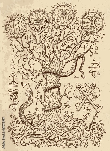 Mystic drawing with spiritual and christian religious symbols as snake, tree of knowledge and forbidden fruit on texture background