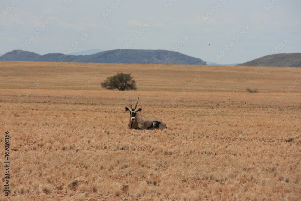 Namibia Namibia