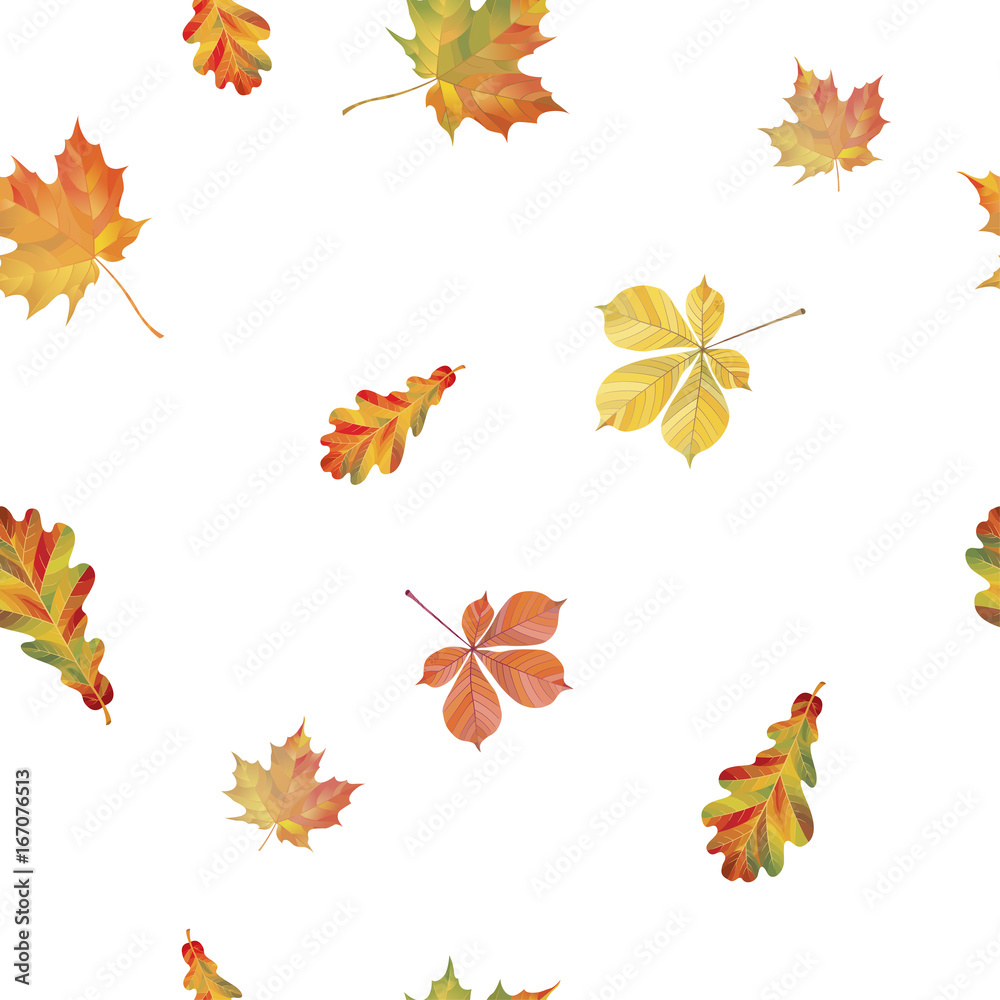 Seamless pattern with different autumn leaves. Oak, chestnut and maple leaves isolated on white background. Vector Illustration Seamless pattern with different autumn leaves. Oak, chestnut and maple leaves isolated on white background. Vector Illustration