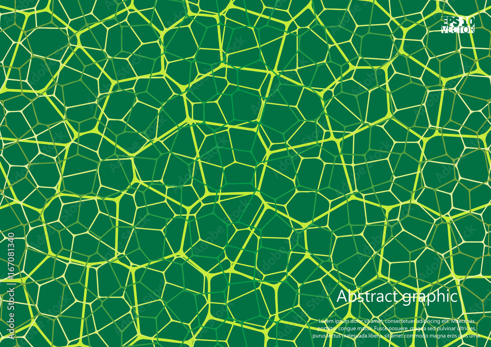 Fototapeta premium Geometric abstract background with connected line and dots. Structure molecule and communication. Scientific concept for your design. Medical, technology, science background. Eps10 Vector illustration
