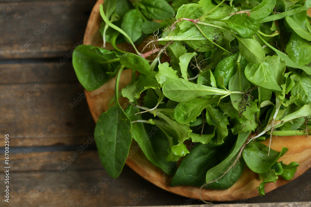 Fresh organic greens for salad Fresh organic greens for salad